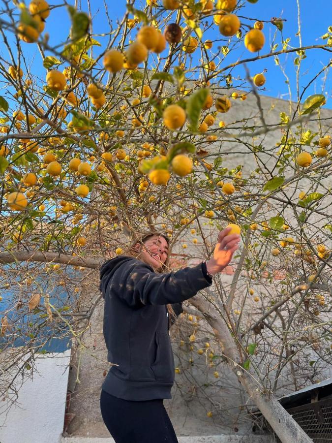 伊里德Wostel Djerba公寓 外观 照片